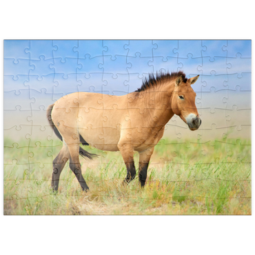 puzzleplate Bedrohte Tierarten - Przewalski-Pferd 100 Puzzle