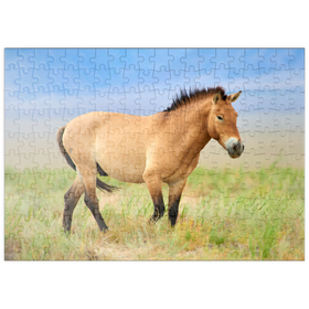 Darstellung des Puzzle-Motivs Bedrohte Tierarten - Przewalski-Pferd – Puzzleteile: 200