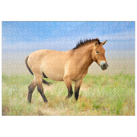puzzleplate Bedrohte Tierarten - Przewalski-Pferd 500 Puzzle