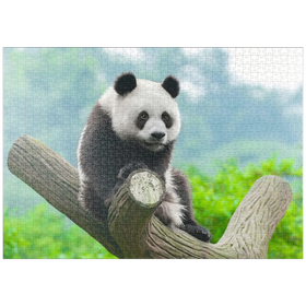 Darstellung des Puzzle Motivs Bedrohte Tierarten - Großer Panda - Puzzleteile: 1000