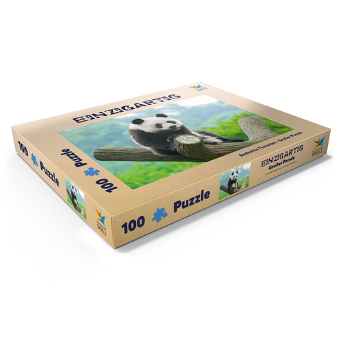 Bedrohte Tierarten - Großer Panda 100 Puzzle Schachtel Ansicht1