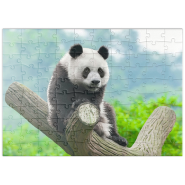 puzzleplate Bedrohte Tierarten - Großer Panda 100 Puzzle