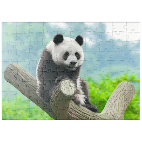 puzzleplate Bedrohte Tierarten - Großer Panda 100 Puzzle