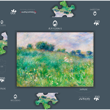 Meadow (La Prairie) (1880) by Pierre-Auguste Renoir 100 Puzzle Schachtel 3D Modell