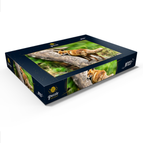 Alternative Darstellung des Puzzle-Motivs Rotfuchs im Herbst-Wald auf einem Baumstamm – Puzzleteile: 1000
