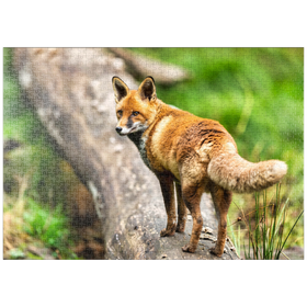 Darstellung des Puzzle-Motivs Rotfuchs im Herbst-Wald auf einem Baumstamm – Puzzleteile: 1000