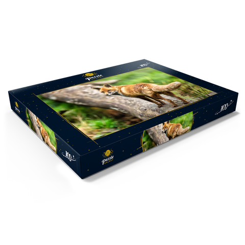 Rotfuchs auf dem Waldweg 100 Puzzle Schachtel Ansicht1
