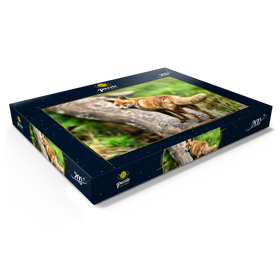 Alternative Darstellung des Puzzle-Motivs Rotfuchs im Herbst-Wald auf einem Baumstamm – Puzzleteile: 200