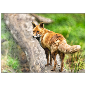 Darstellung des Puzzle-Motivs Rotfuchs im Herbst-Wald auf einem Baumstamm – Puzzleteile: 200