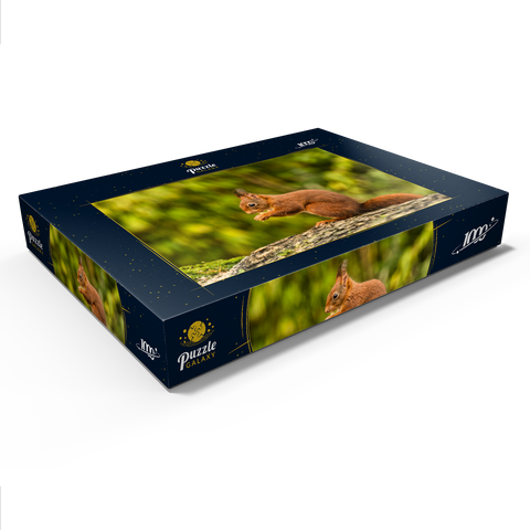Rotes Eichhörnchen im Wald essen 1000 Puzzle Schachtel Ansicht1