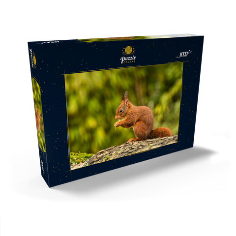 Rotes Eichhörnchen im Wald essen 1000 Puzzle Schachtel Ansicht2