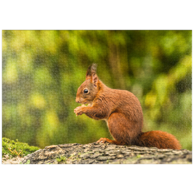 Darstellung des Puzzle-Motivs Rotes Eichhörnchen im Wald beim Frühstück – Puzzleteile: 1000