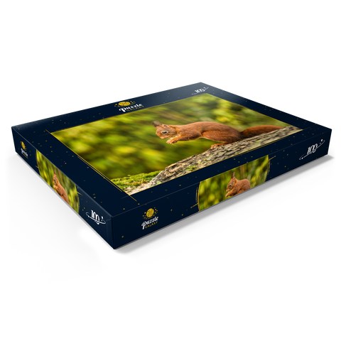 Rotes Eichhörnchen im Wald essen 100 Puzzle Schachtel Ansicht1