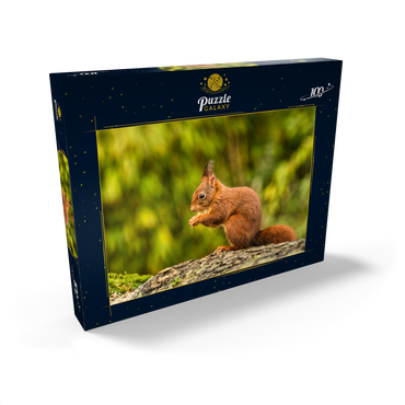 Rotes Eichhörnchen im Wald essen 100 Puzzle Schachtel Ansicht2