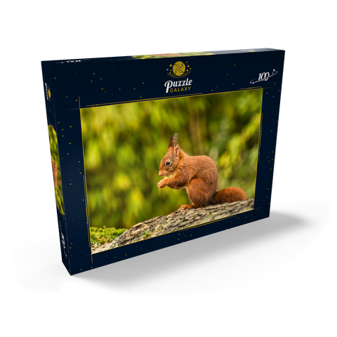 Rotes Eichhörnchen im Wald essen 100 Puzzle Schachtel Ansicht2