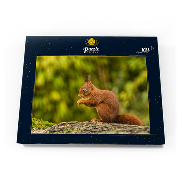 Rotes Eichhörnchen im Wald essen 100 Puzzle Schachtel Ansicht3