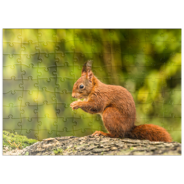 puzzleplate Rotes Eichhörnchen im Wald essen 100 Puzzle