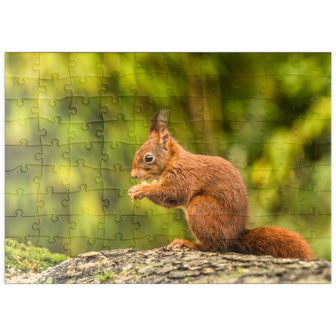 puzzleplate Rotes Eichhörnchen im Wald essen 100 Puzzle