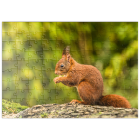 Darstellung des Puzzle Motivs Rotes Eichhörnchen im Wald beim Frühstück - Puzzleteile: 100