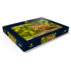 Alternative Darstellung des Puzzle-Motivs Rotes Eichhörnchen im Wald beim Frühstück – Puzzleteile: 200