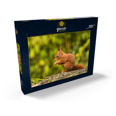 Rotes Eichhörnchen im Wald essen 200 Puzzle Schachtel Ansicht2
