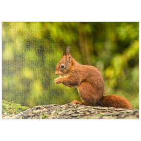 Darstellung des Puzzle-Motivs Rotes Eichhörnchen im Wald beim Frühstück – Puzzleteile: 200