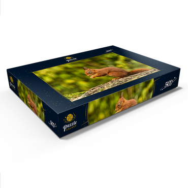 Rotes Eichhörnchen im Wald essen 500 Puzzle Schachtel Ansicht1