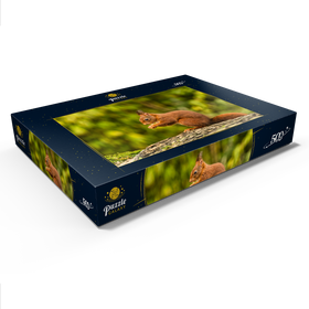 Darstellung des Puzzle Motivs Rotes Eichhörnchen im Wald beim Frühstück - Puzzleteile: 500