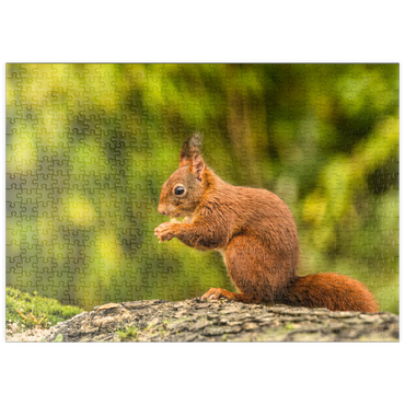 puzzleplate Rotes Eichhörnchen im Wald essen 500 Puzzle