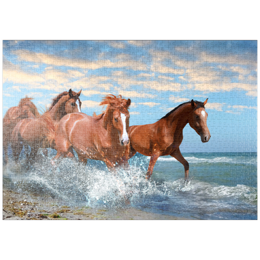 puzzleplate Schöne Pferde laufen am Strand durch das Meer 1000 Puzzle