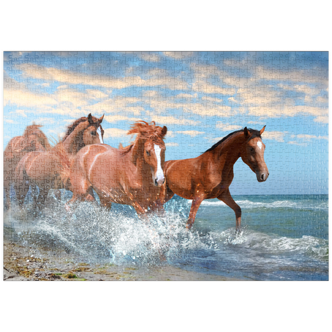 puzzleplate Schöne Pferde laufen am Strand durch das Meer 1000 Puzzle