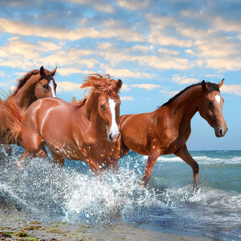Schöne Pferde laufen am Strand durch das Meer 1000 Puzzle 3D Modell