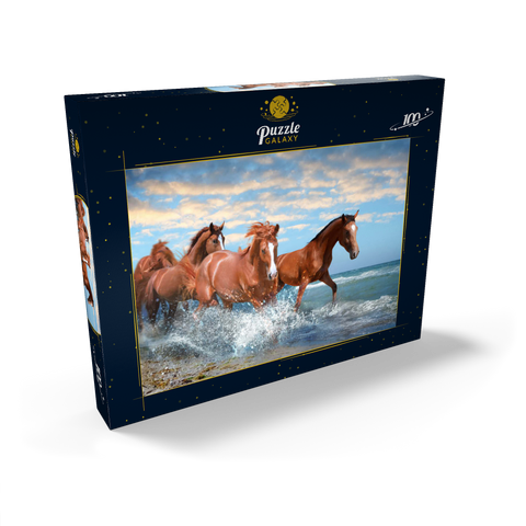 Schöne Pferde laufen am Strand durch das Meer 100 Puzzle Schachtel Ansicht2
