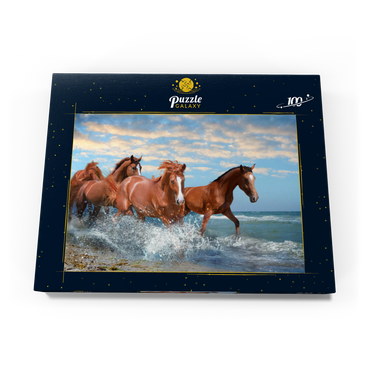 Schöne Pferde laufen am Strand durch das Meer 100 Puzzle Schachtel Ansicht3