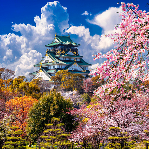 Kirschblüten und Schloss in Osaka, Japan 1000 Puzzle 3D Modell