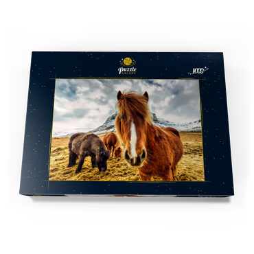 Pferde in den Bergen von Island 1000 Puzzle Schachtel Ansicht3