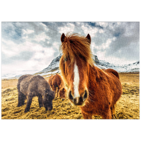 Darstellung des Puzzle-Motivs Pferde in den Bergen von Island – Puzzleteile: 1000