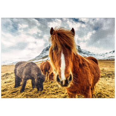 puzzleplate Pferde in den Bergen von Island 1000 Puzzle