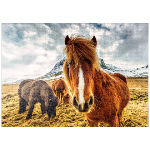 puzzleplate Pferde in den Bergen von Island 1000 Puzzle
