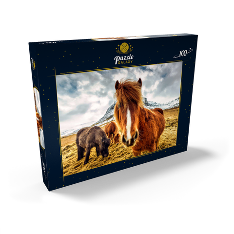 Pferde in den Bergen von Island 100 Puzzle Schachtel Ansicht2