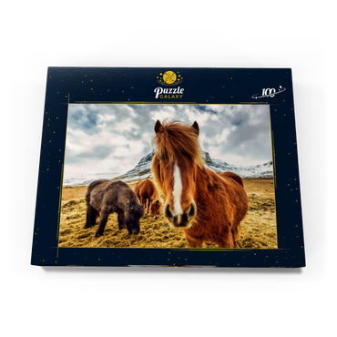 Pferde in den Bergen von Island 100 Puzzle Schachtel Ansicht3