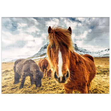 puzzleplate Pferde in den Bergen von Island 100 Puzzle