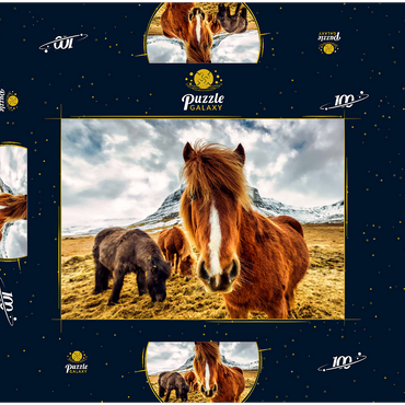Pferde in den Bergen von Island 100 Puzzle Schachtel 3D Modell