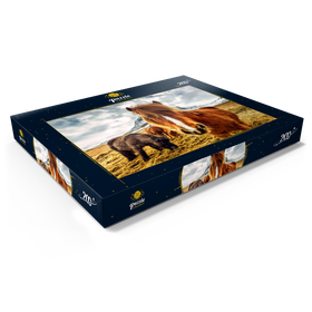 Darstellung des Puzzle Motivs Pferde in den Bergen von Island - Puzzleteile: 200