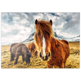 Darstellung des Puzzle Motivs Pferde in den Bergen von Island - Puzzleteile: 200