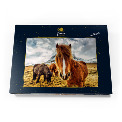 Pferde in den Bergen von Island 500 Puzzle Schachtel Ansicht3