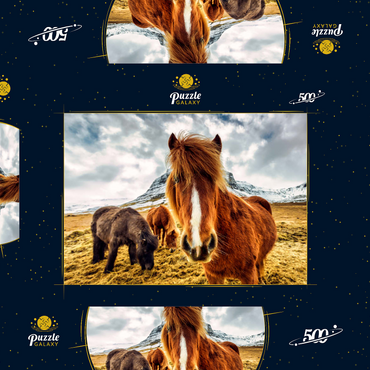 Pferde in den Bergen von Island 500 Puzzle Schachtel 3D Modell