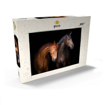 Zwei Pferde in Nahaufnahme isoliert auf schwarzem Hintergrund 1000 Puzzle Schachtel Ansicht2