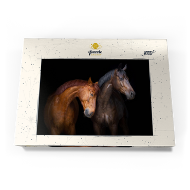 Zwei Pferde in Nahaufnahme isoliert auf schwarzem Hintergrund 1000 Puzzle Schachtel Ansicht3