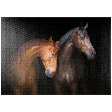 puzzleplate Zwei Pferde in Nahaufnahme isoliert auf schwarzem Hintergrund 1000 Puzzle